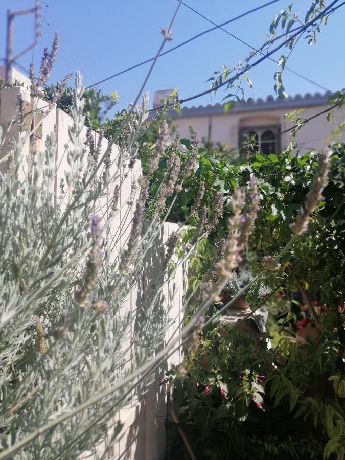 "Eirini" Traditional House Creta Archanes, Αρχάνες Σπίτι Ngoại thất bức ảnh